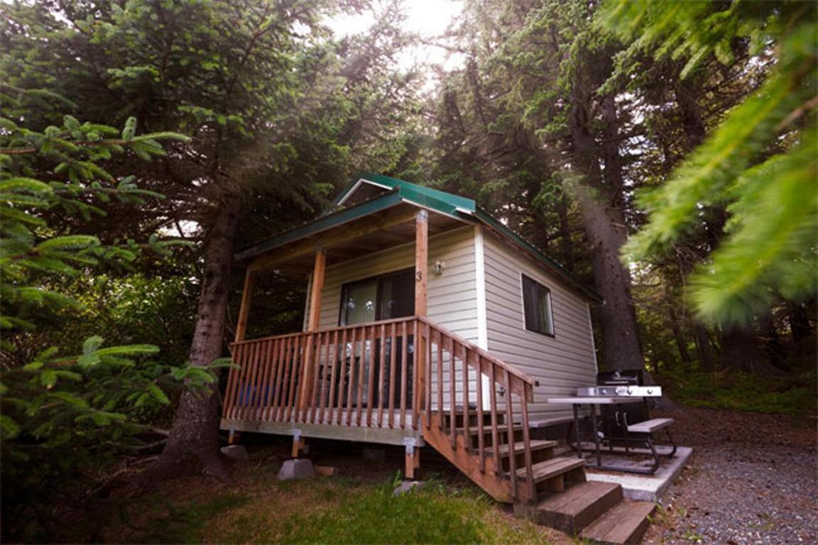 Cabin 3 Lynn View Lodge Haines Zewnętrze zdjęcie